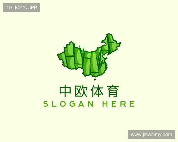 认识zoty中欧